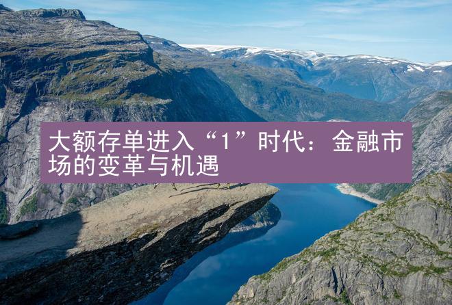 大额存单进入“1”时代：金融市场的变革与机遇