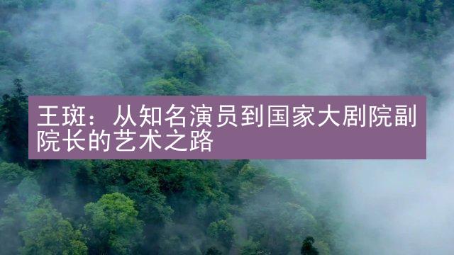 王斑：从知名演员到国家大剧院副院长的艺术之路