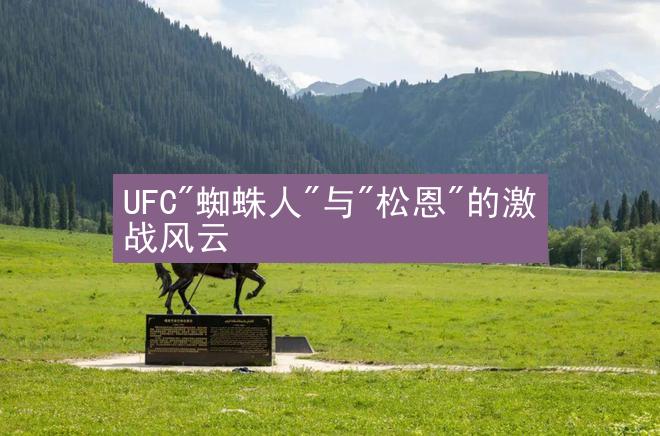 UFC"蜘蛛人"与"松恩"的激战风云