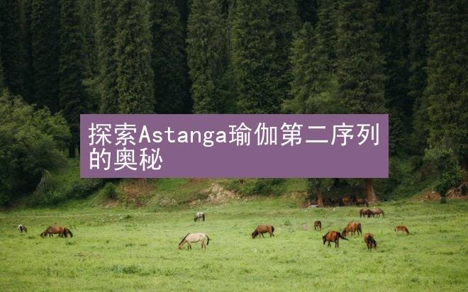 探索Astanga瑜伽第二序列的奥秘