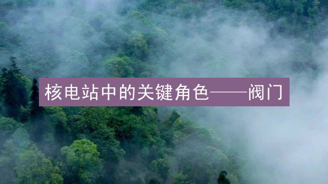 核电站中的关键角色——阀门