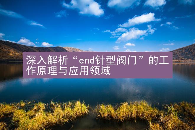 深入解析“end针型阀门”的工作原理与应用领域