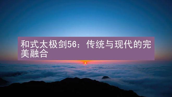 和式太极剑56：传统与现代的完美融合