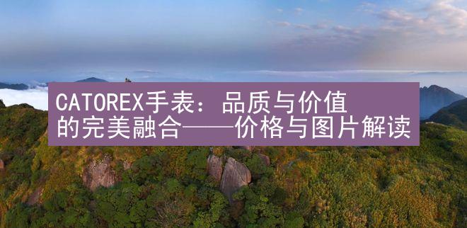 CATOREX手表：品质与价值的完美融合——价格与图片解读