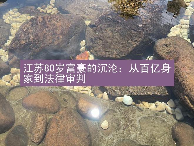 江苏80岁富豪的沉沦：从百亿身家到法律审判