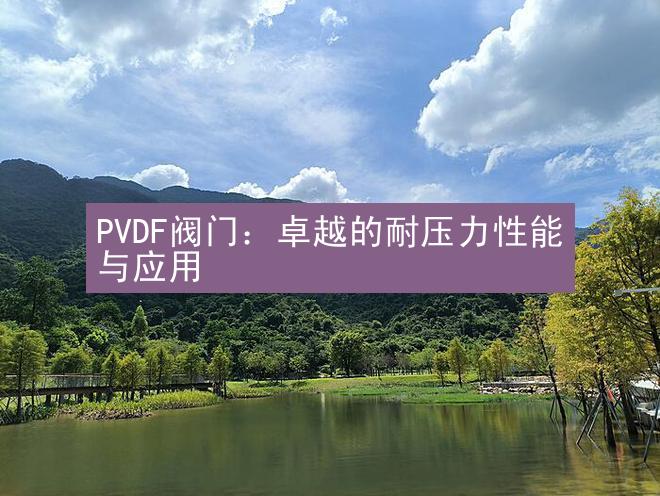 PVDF阀门：卓越的耐压力性能与应用