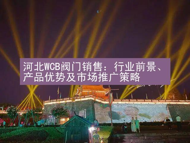 河北WCB阀门销售：行业前景、产品优势及市场推广策略