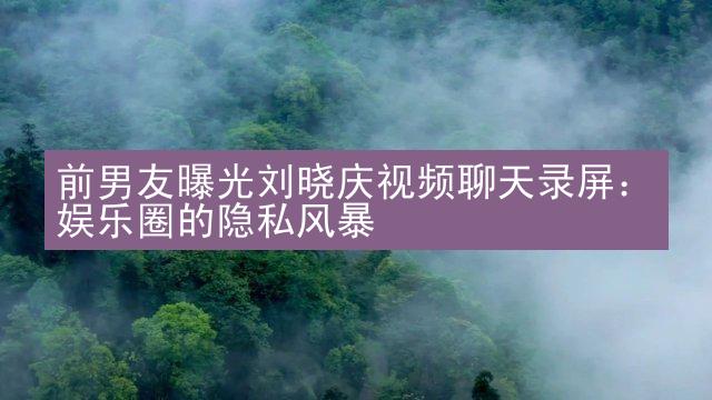 前男友曝光刘晓庆视频聊天录屏：娱乐圈的隐私风暴