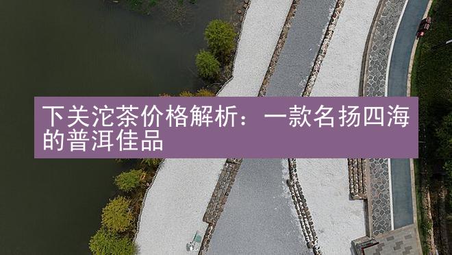 下关沱茶价格解析：一款名扬四海的普洱佳品