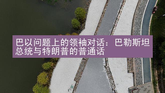 巴以问题上的领袖对话：巴勒斯坦总统与特朗普的普通话