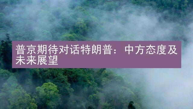 普京期待对话特朗普：中方态度及未来展望