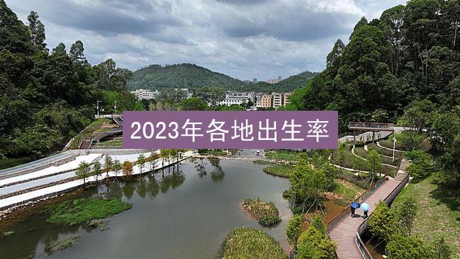 2023年各地出生率