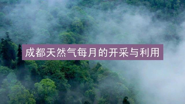 成都天然气每月的开采与利用