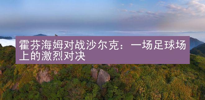 霍芬海姆对战沙尔克：一场足球场上的激烈对决