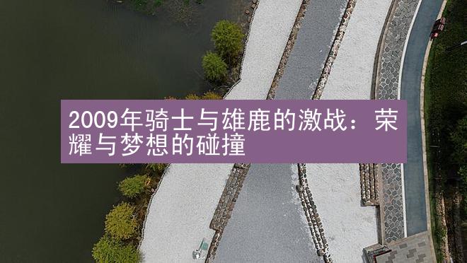 2009年骑士与雄鹿的激战：荣耀与梦想的碰撞