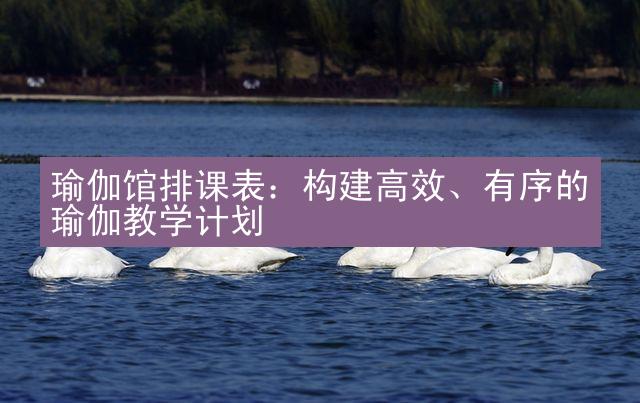 瑜伽馆排课表：构建高效、有序的瑜伽教学计划