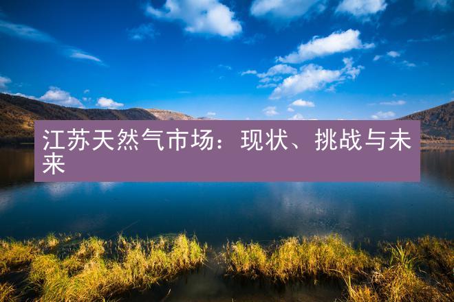 江苏天然气市场：现状、挑战与未来