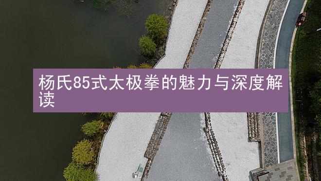 杨氏85式太极拳的魅力与深度解读