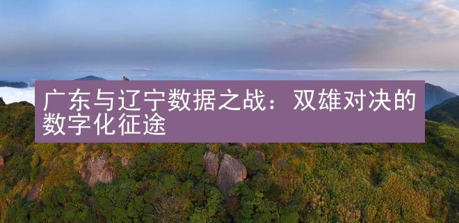 广东与辽宁数据之战：双雄对决的数字化征途