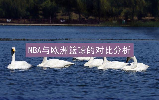 NBA与欧洲篮球的对比分析