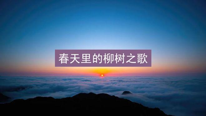 春天里的柳树之歌