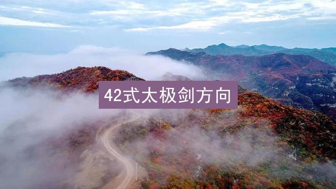 42式太极剑方向