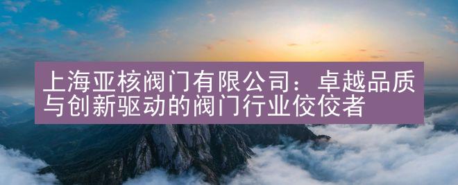 上海亚核阀门有限公司：卓越品质与创新驱动的阀门行业佼佼者