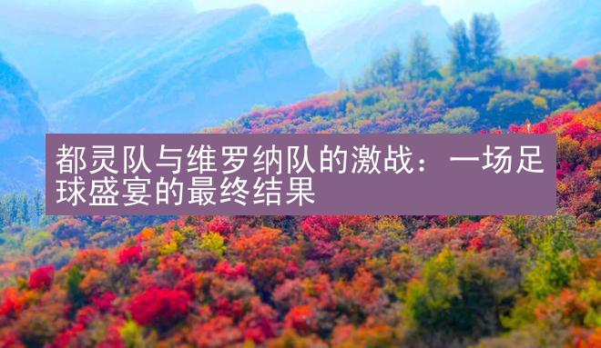 都灵队与维罗纳队的激战：一场足球盛宴的最终结果