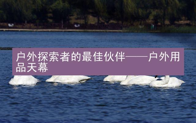 户外探索者的最佳伙伴——户外用品天幕