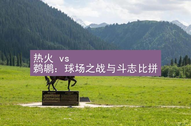 热火 vs 鹈鹕：球场之战与斗志比拼