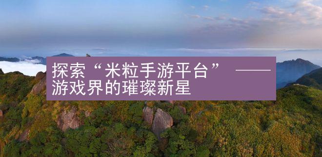 探索“米粒手游平台” —— 游戏界的璀璨新星