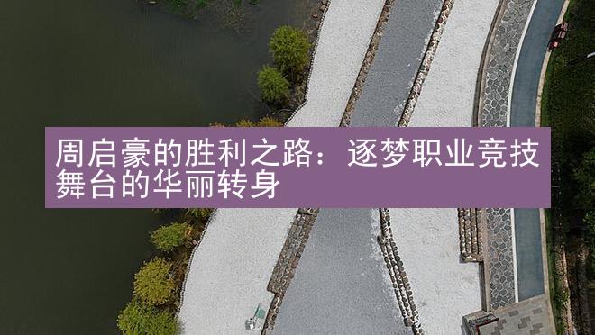 周启豪的胜利之路：逐梦职业竞技舞台的华丽转身