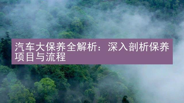 汽车大保养全解析：深入剖析保养项目与流程