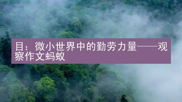 目：微小世界中的勤劳力量——观察作文蚂蚁