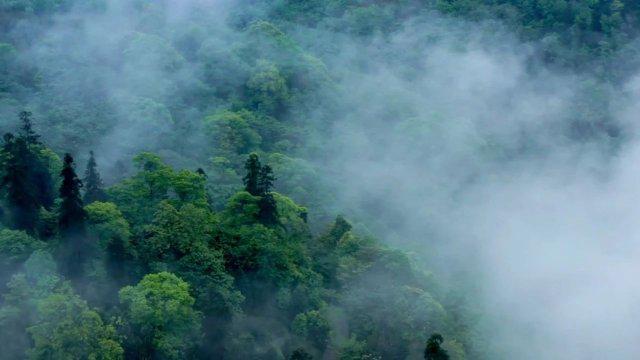 皮卡之旅遭遇天价罚款：开皮卡买柴油罚三万，你如何看待？